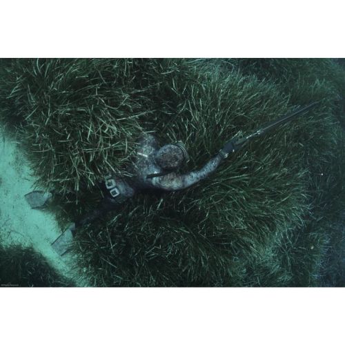 Cressi Tracina 5 mm spodnie (LE465102)